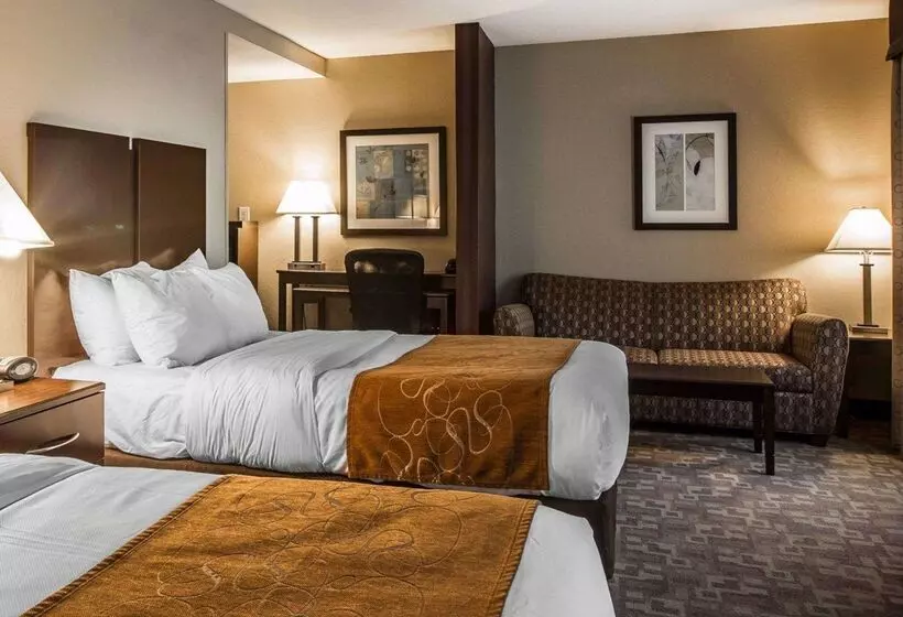 Отель Comfort Suites Whitsett Greensboro East