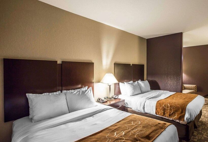 ホテル Comfort Suites Whitsett   Greensboro East