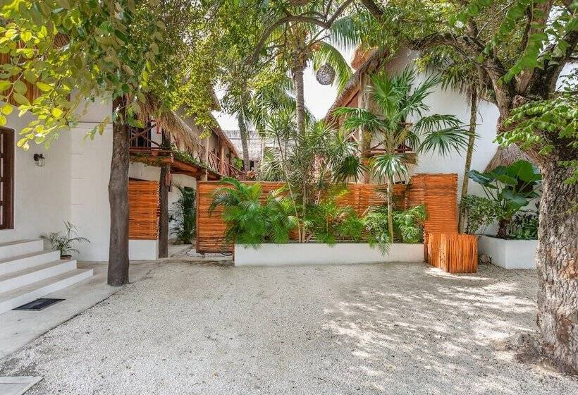 فندق Kin Ha Tulum