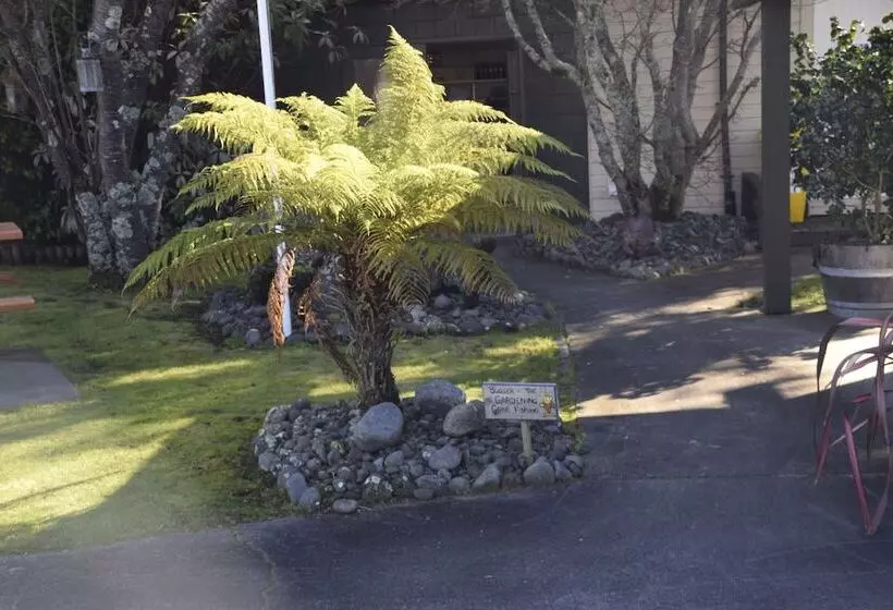 Judges Pool Motel Turangi