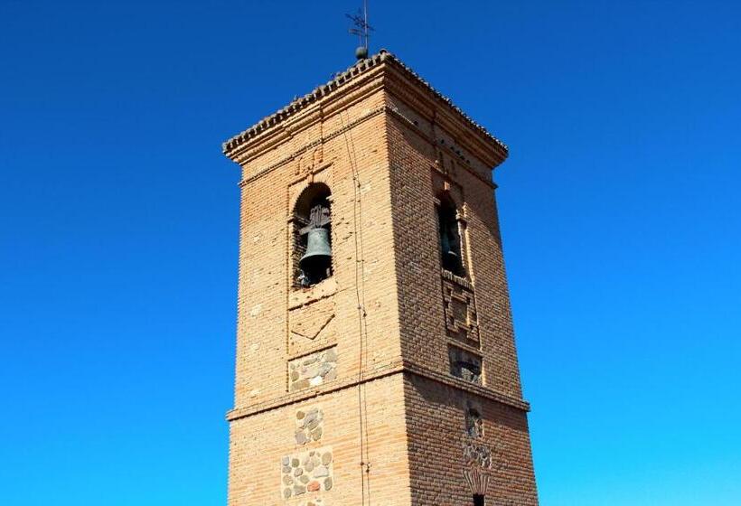 فندق صغير Oasis Backpackers' Toledo