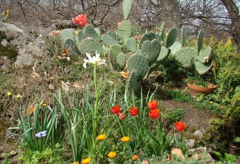 ベッドアンドブレックファースト Borgo Tepolini Country House