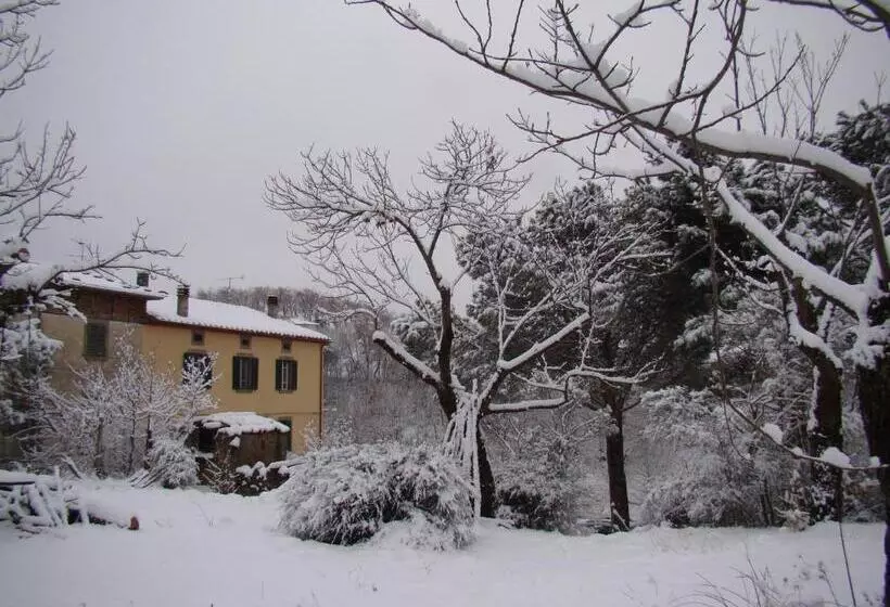 ベッドアンドブレックファースト Borgo Tepolini Country House