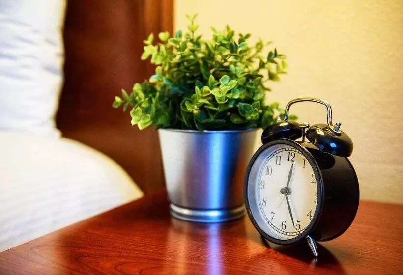 Отель Georgetown Inn Seattle