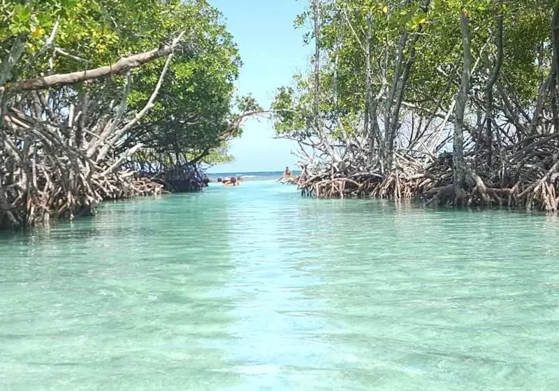 هتل La Jamaca Island Vibe