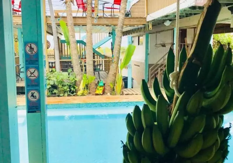 هتل La Jamaca Island Vibe