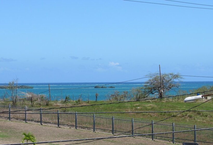 هتل La Jamaca Island Vibe