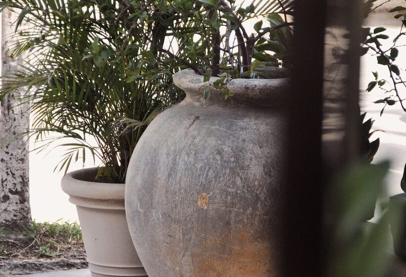 Boutique Hotel Posada 06 Tulum