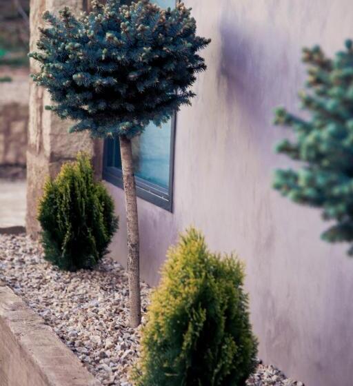 乡村酒店  Restaurante Masía La Torre