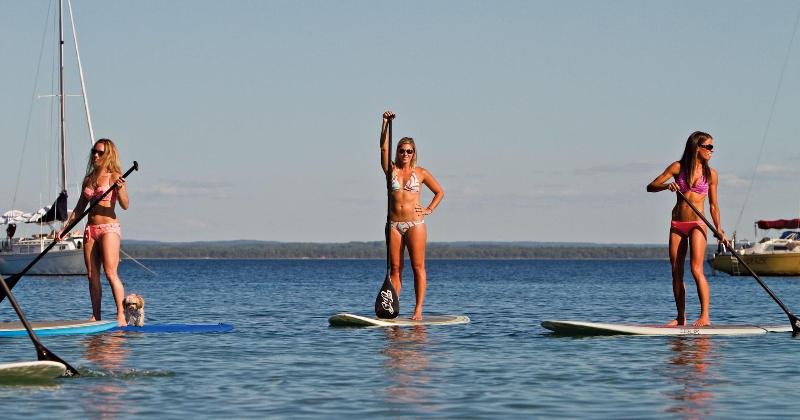 فندق Cherry Tree Inn & Suites