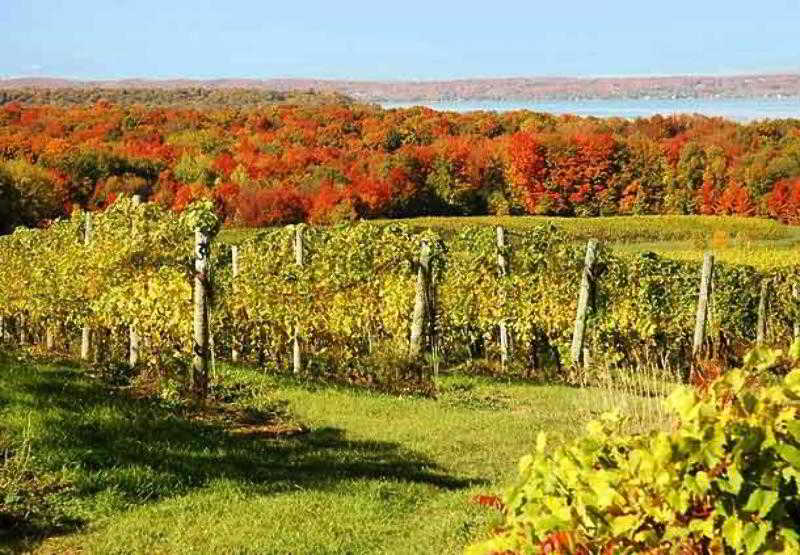 فندق Fairfield Inn & Suites Traverse City