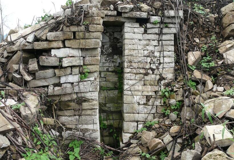 ホテル Tanager Rainforest Lodge