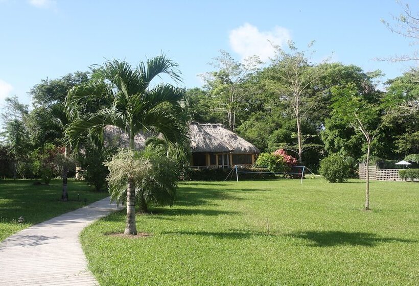 ホテル Tanager Rainforest Lodge