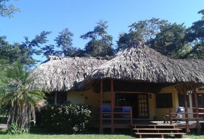 ホテル Tanager Rainforest Lodge