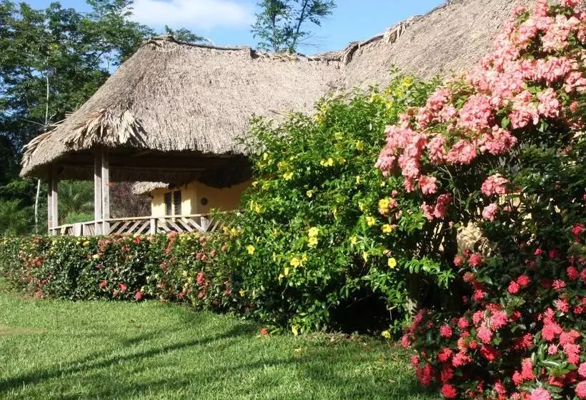 酒店 Tanager Rainforest Lodge