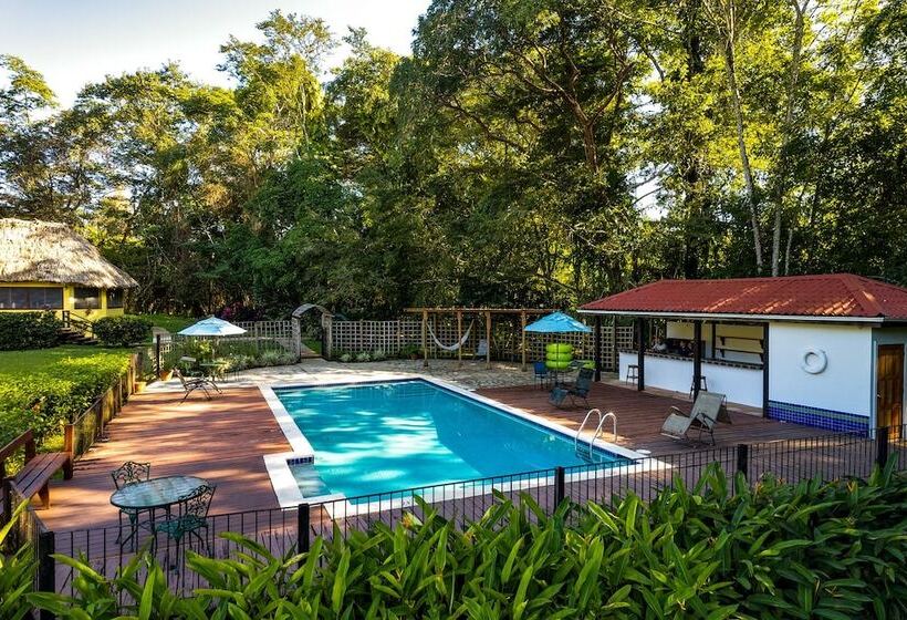 ホテル Tanager Rainforest Lodge