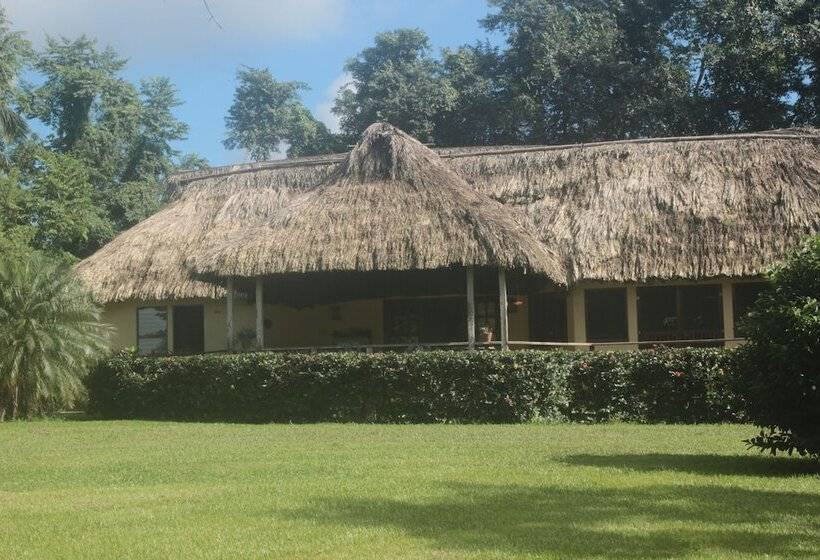 ホテル Tanager Rainforest Lodge