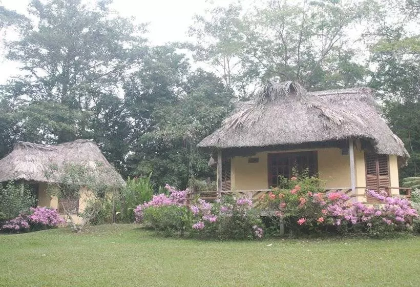 酒店 Tanager Rainforest Lodge