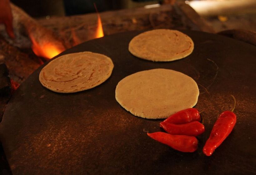 ホテル Tanager Rainforest Lodge