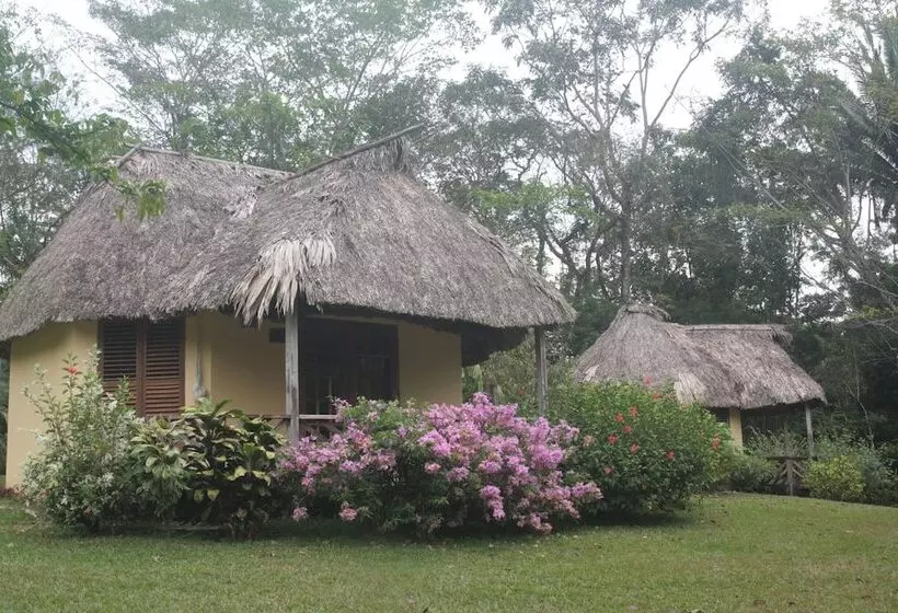 酒店 Tanager Rainforest Lodge