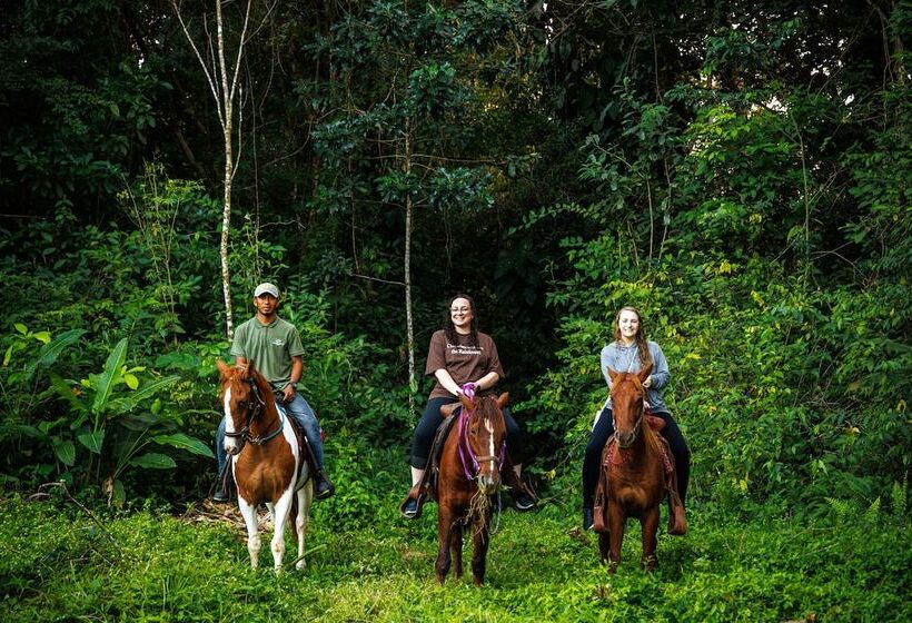 ホテル Tanager Rainforest Lodge