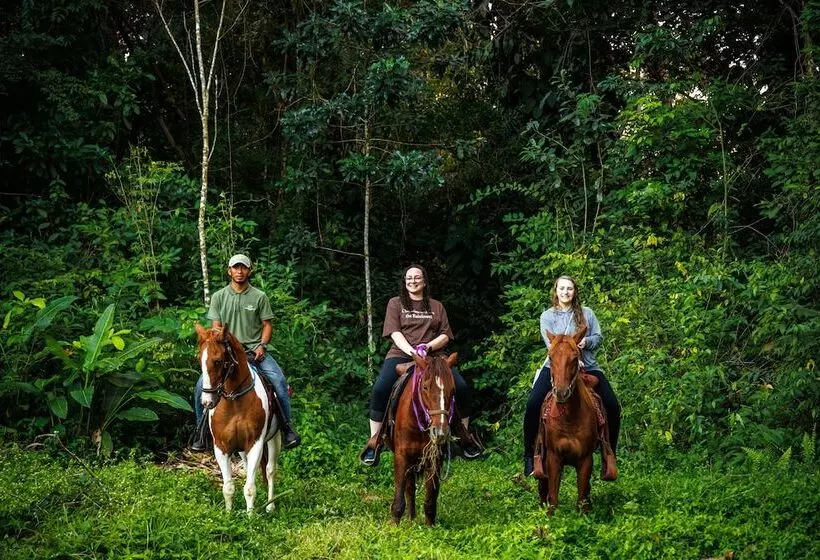 酒店 Tanager Rainforest Lodge