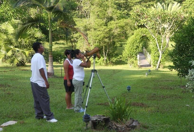 ホテル Tanager Rainforest Lodge