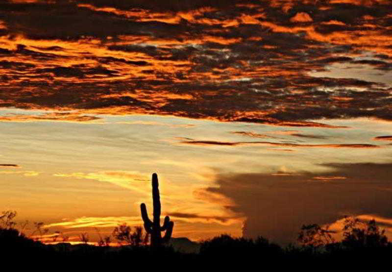 ホテル Towneplace Suites By Marriott Phoenix Goodyear