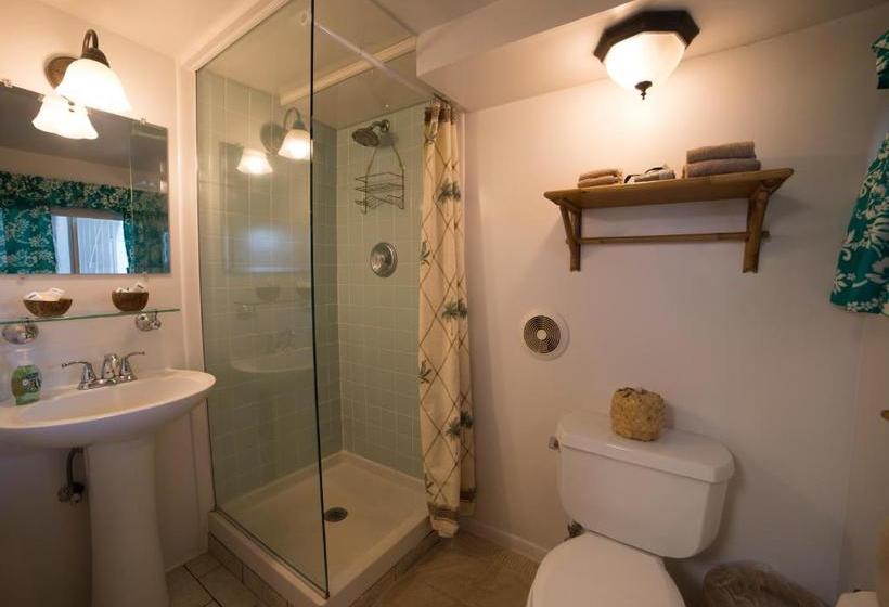 هتل Wailuku Guesthouse