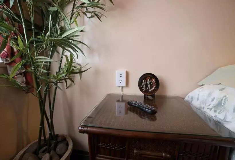 בית מלון כפרי Wailuku Guesthouse