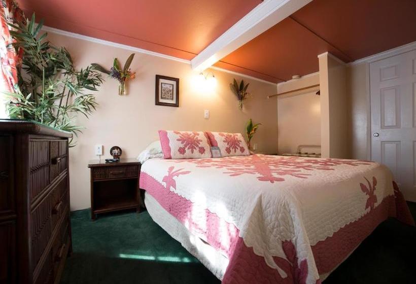 هتل Wailuku Guesthouse