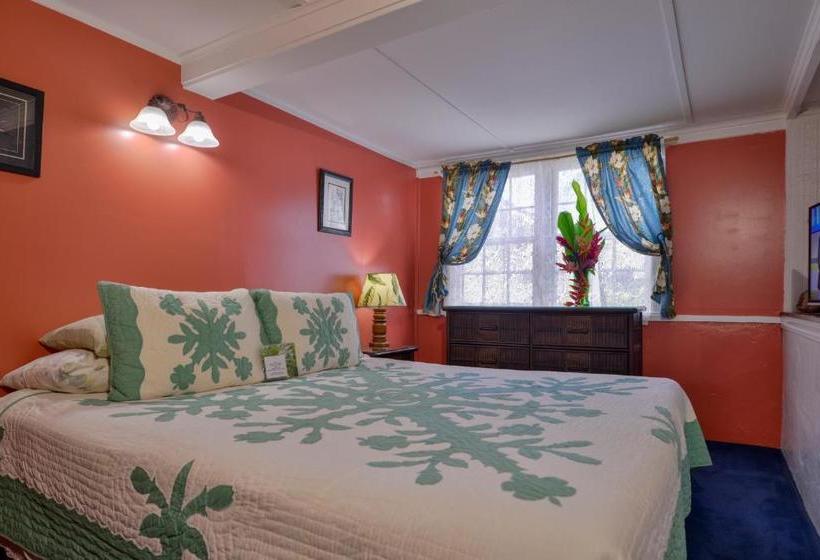 هتل Wailuku Guesthouse