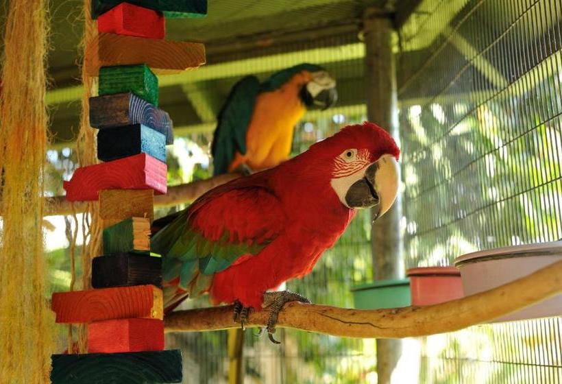 هتل Wailuku Guesthouse