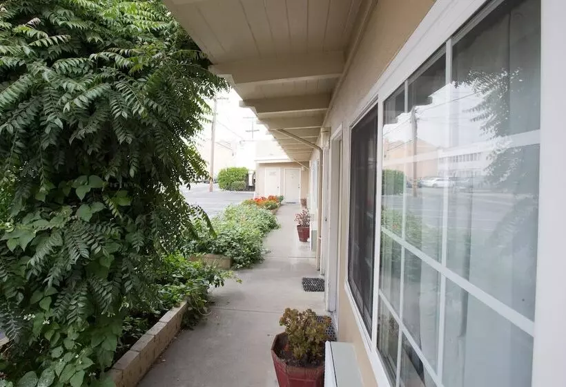 מוטל San Carlos Inn