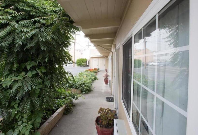 모텔 San Carlos Inn