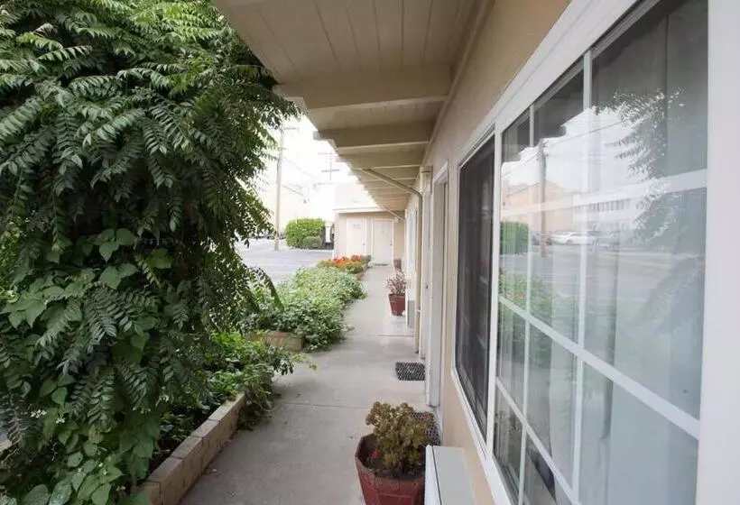 מוטל San Carlos Inn