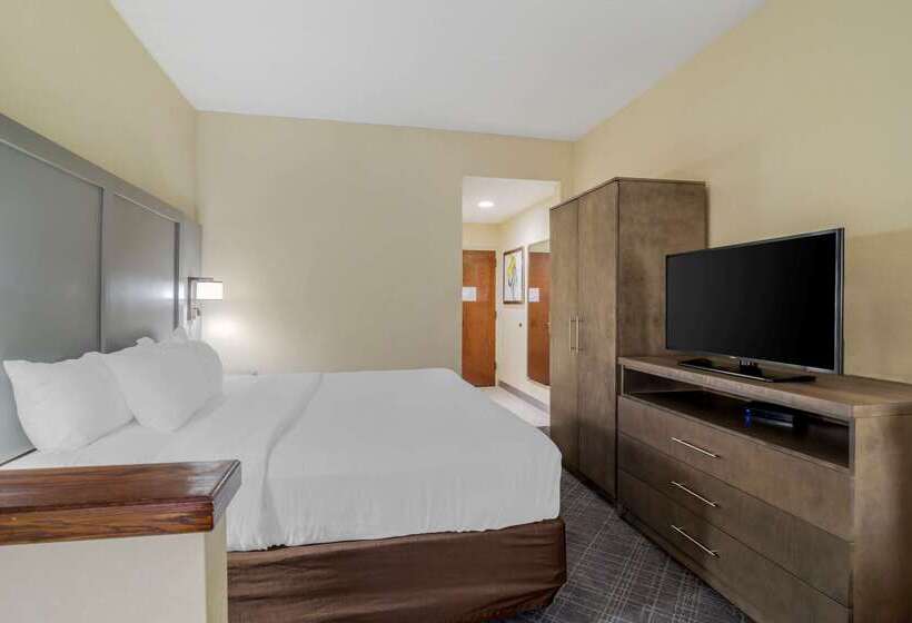 هتل Comfort Inn Bismarck