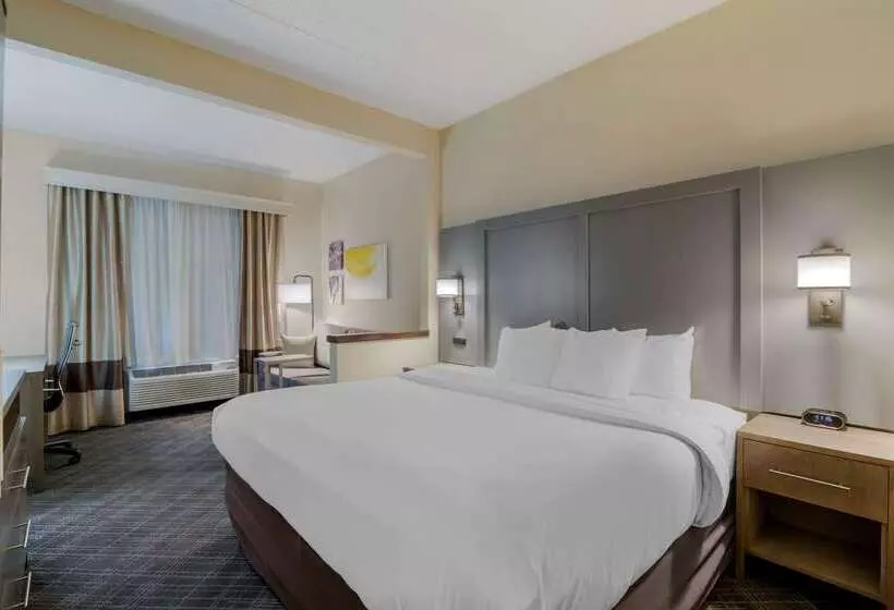 酒店 Comfort Inn Bismarck