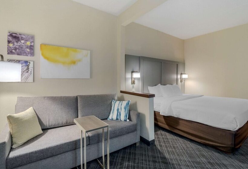 هتل Comfort Inn Bismarck