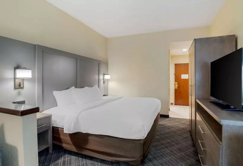 酒店 Comfort Inn Bismarck