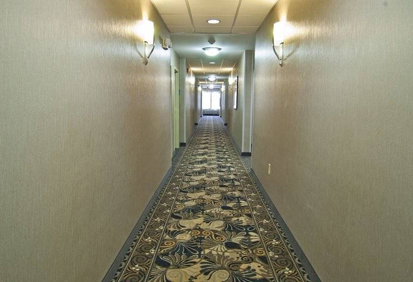 Otel Holiday Inn Express & Suites Jackson / Pearl Intl Airport By Ihg