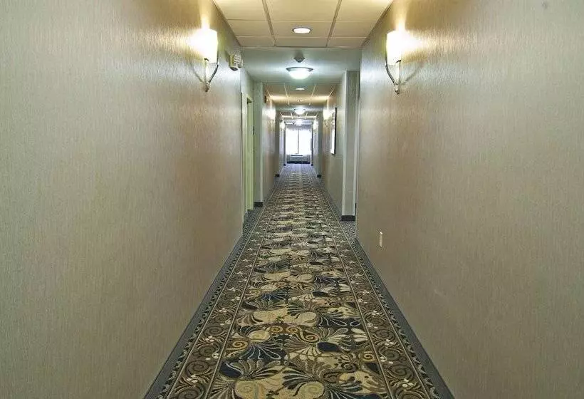 فندق Holiday Inn Express & Suites Jackson / Pearl Intl Airport By Ihg