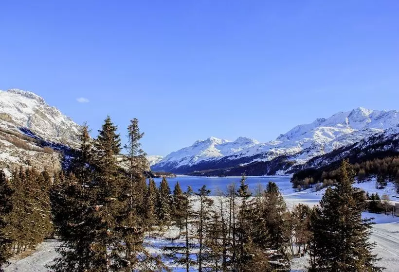 酒店 Maloja Palace