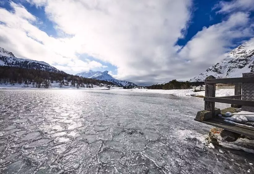 酒店 Maloja Palace