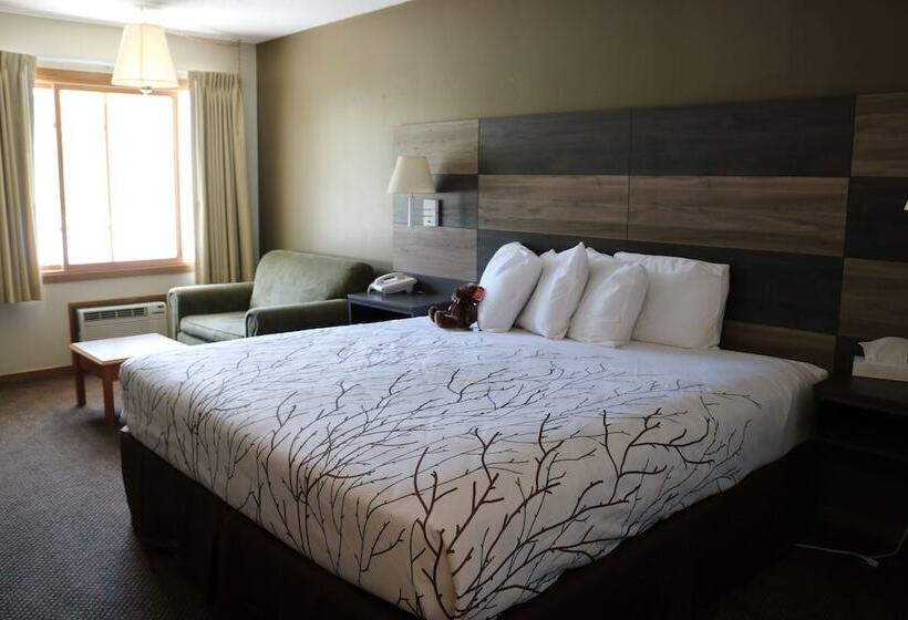 فندق Roosevelt Inn Mount Rushmore