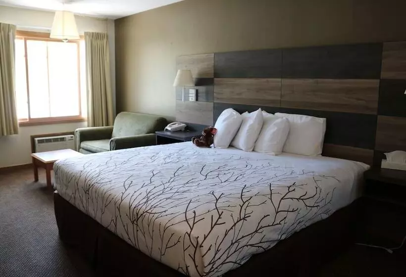 Отель Roosevelt Inn Mount Rushmore