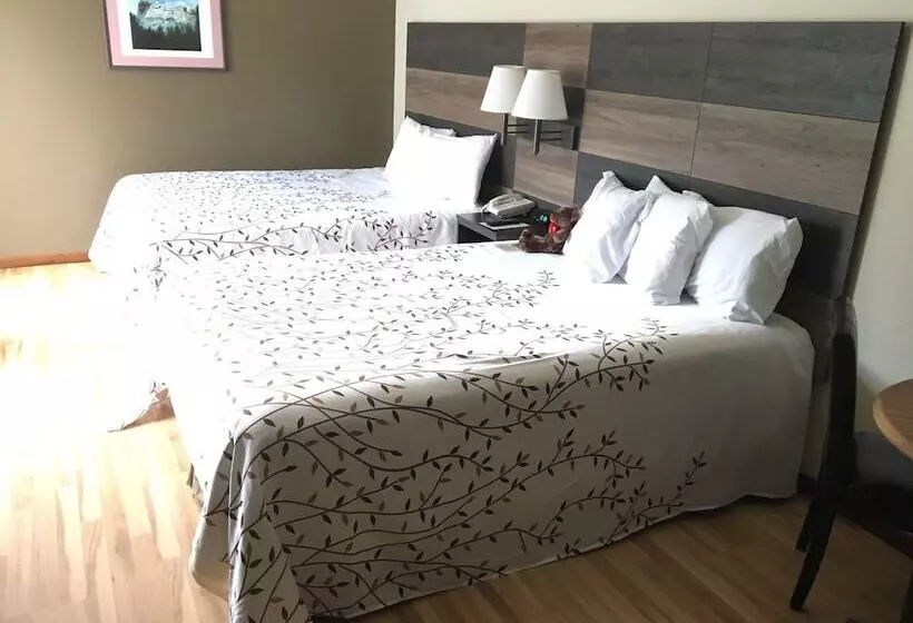 Отель Roosevelt Inn Mount Rushmore