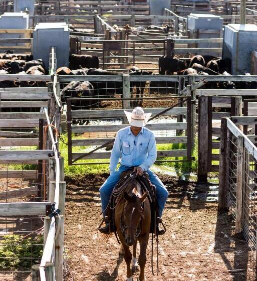 בית מלון כפרי Wyndham Grand Oklahoma City Downtown