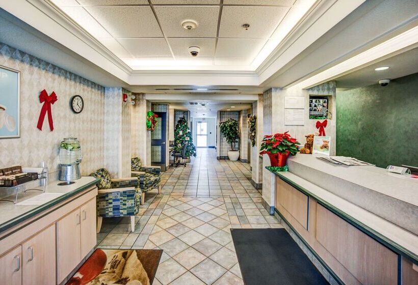 Motel 6 Red Deer, Ab