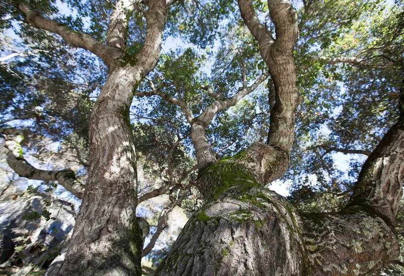 Курорт Hidden Valley Inn